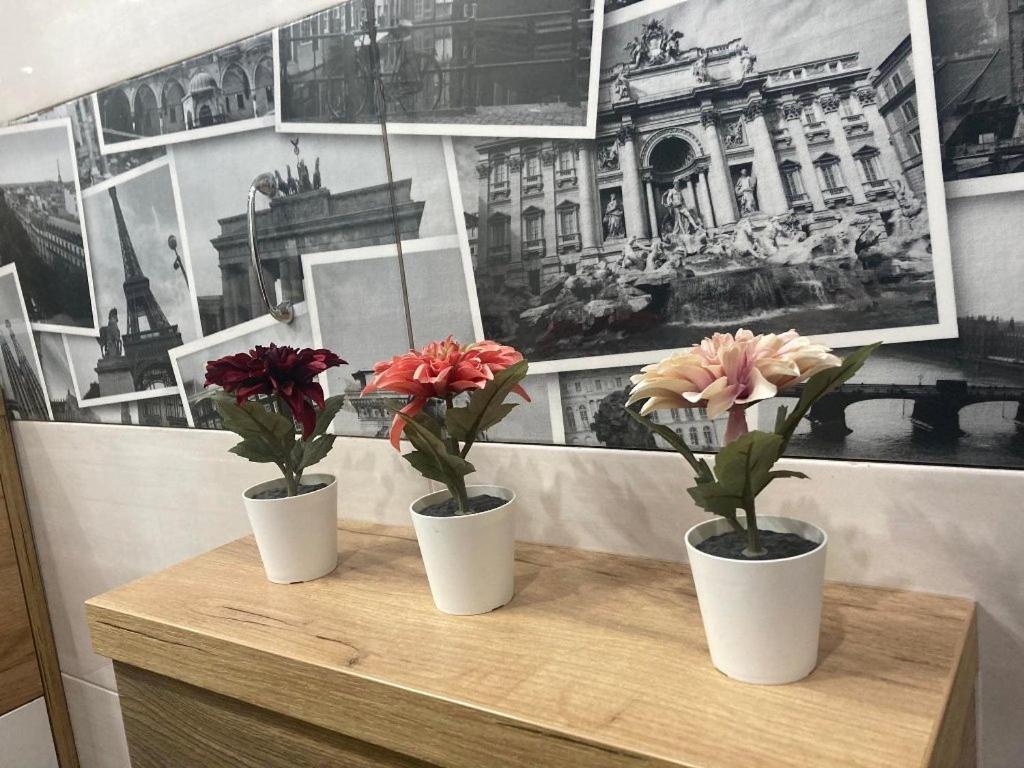 Apartament Tuz Za Rogiem Zamku Malbork Exteriér fotografie